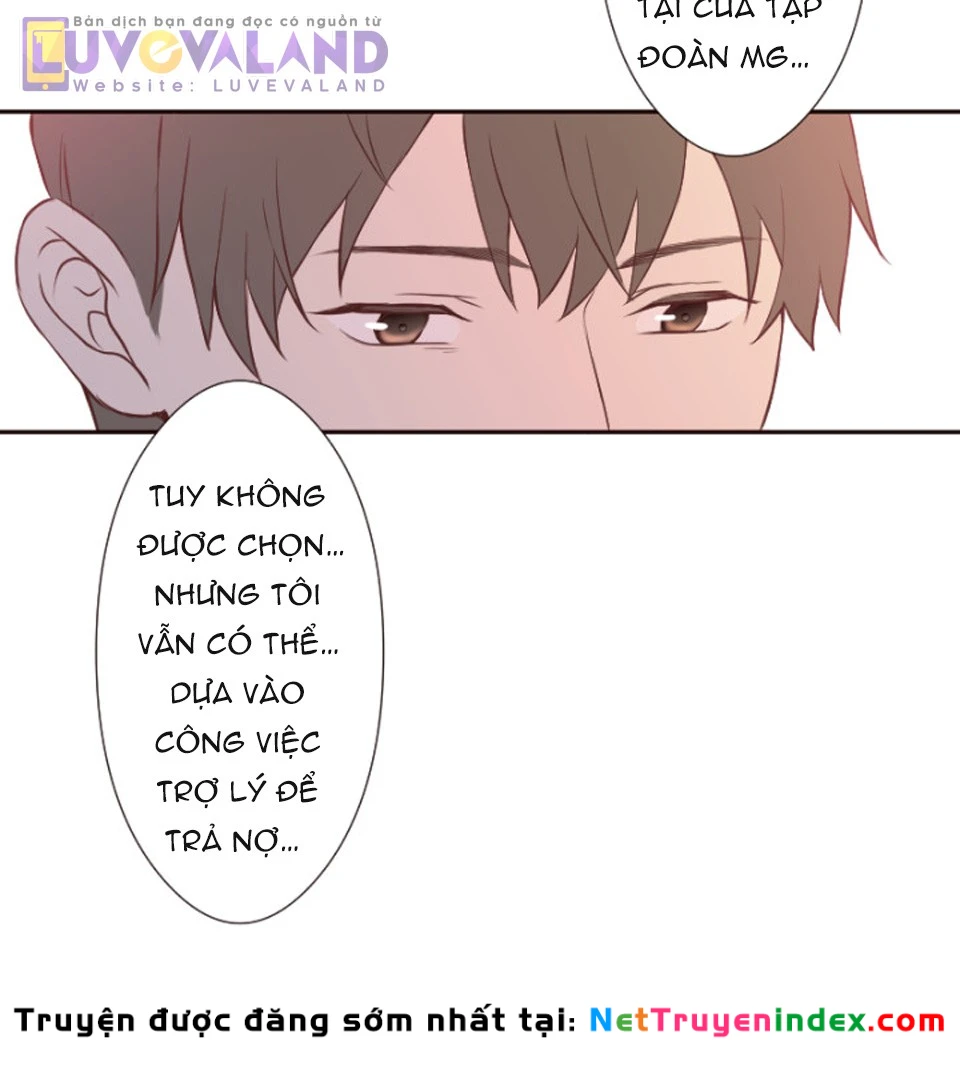 Cám Dỗ Nguy Hiểm Chapter 47 - 24