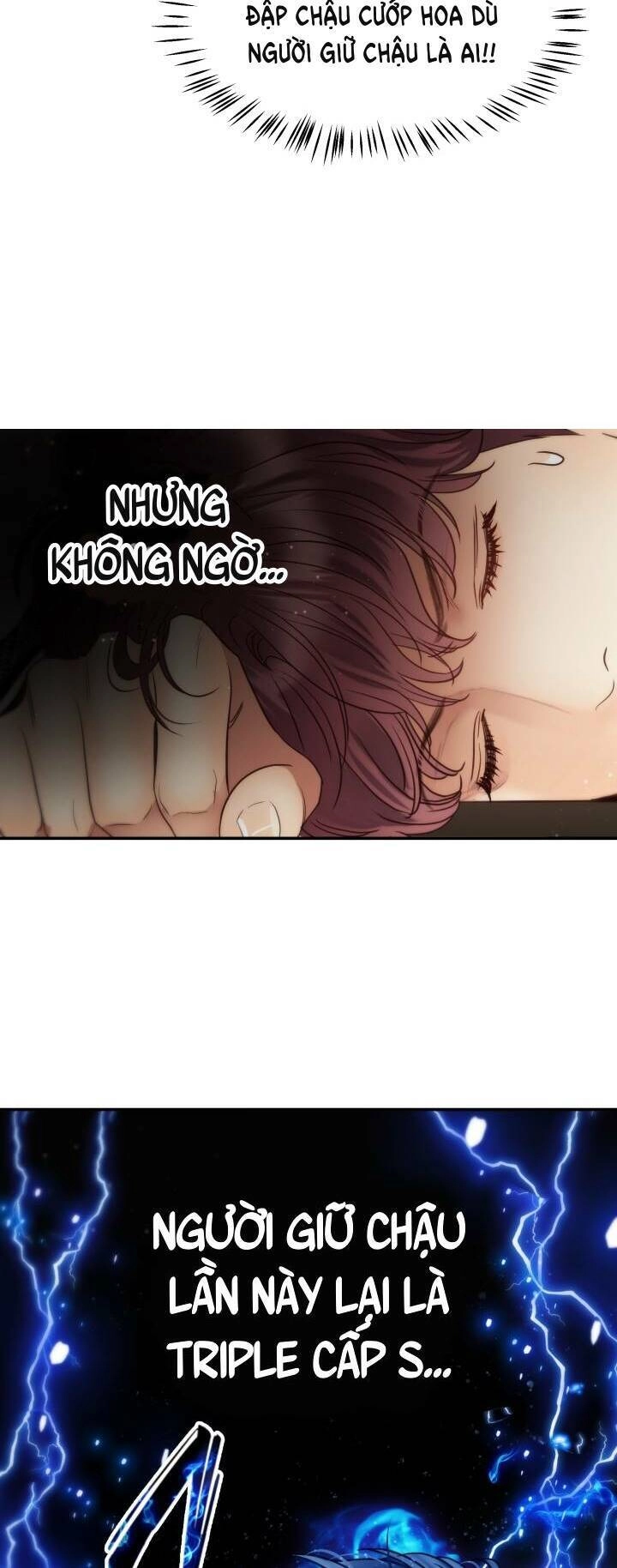 Ánh Sao Ban Mai Chapter 60 - 25