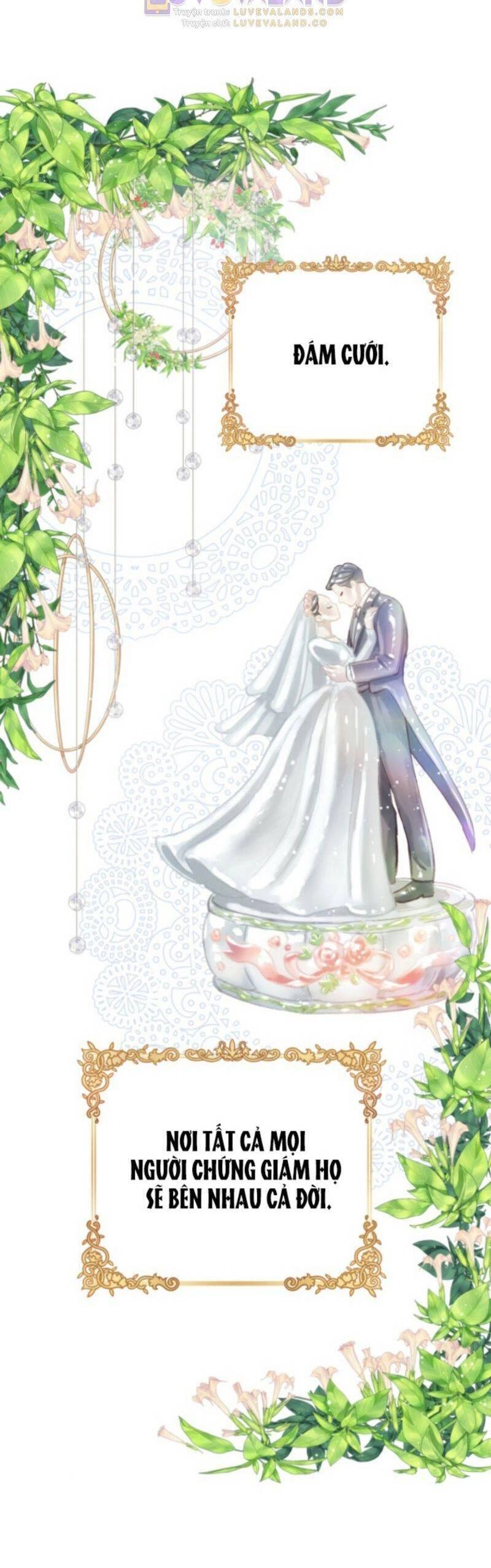 Ánh Sao Ban Mai Chapter 74 - 3