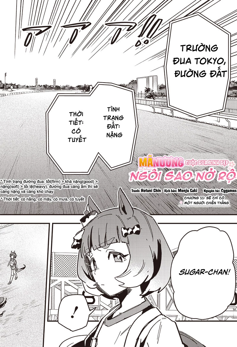 Uma Musume: Pretty Derby - Star Blossom Chapter 11 - 4