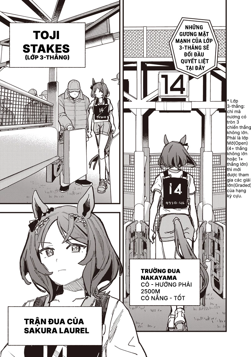 Uma Musume: Pretty Derby - Star Blossom Chapter 53 - 5