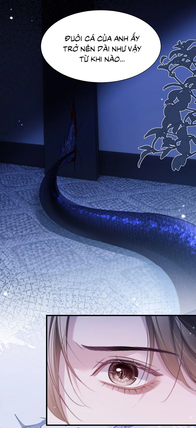 Desharow Nhân Ngư Chapter 116 - 7