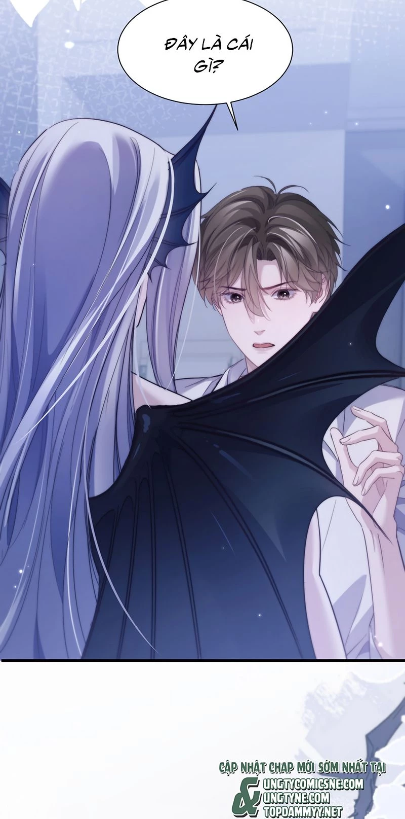 Desharow Nhân Ngư Chapter 116 - 10