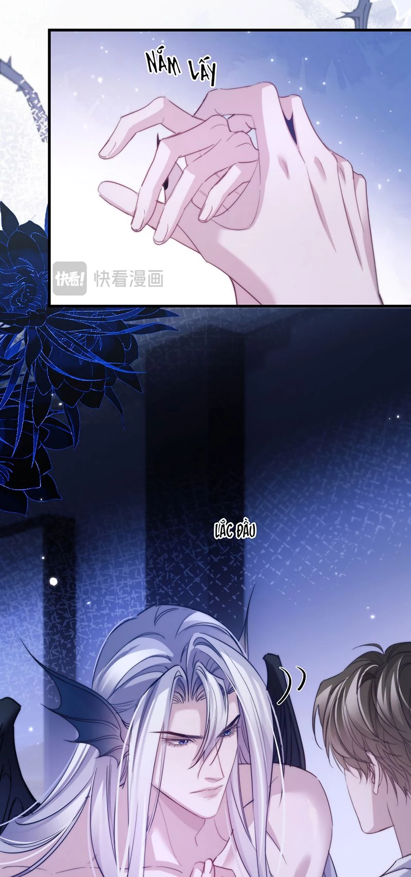 Desharow Nhân Ngư Chapter 116 - 11