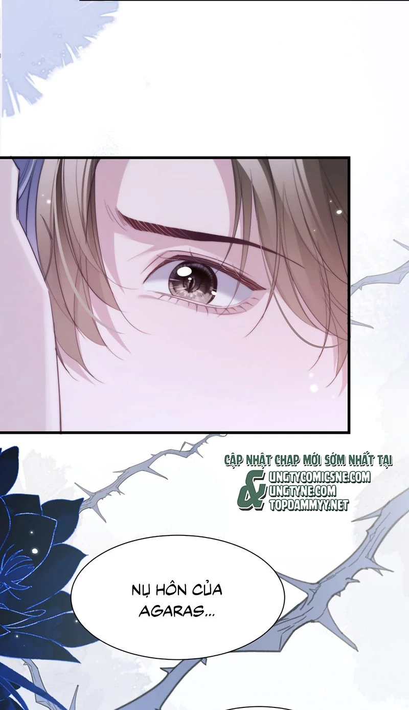 Desharow Nhân Ngư Chapter 116 - 15