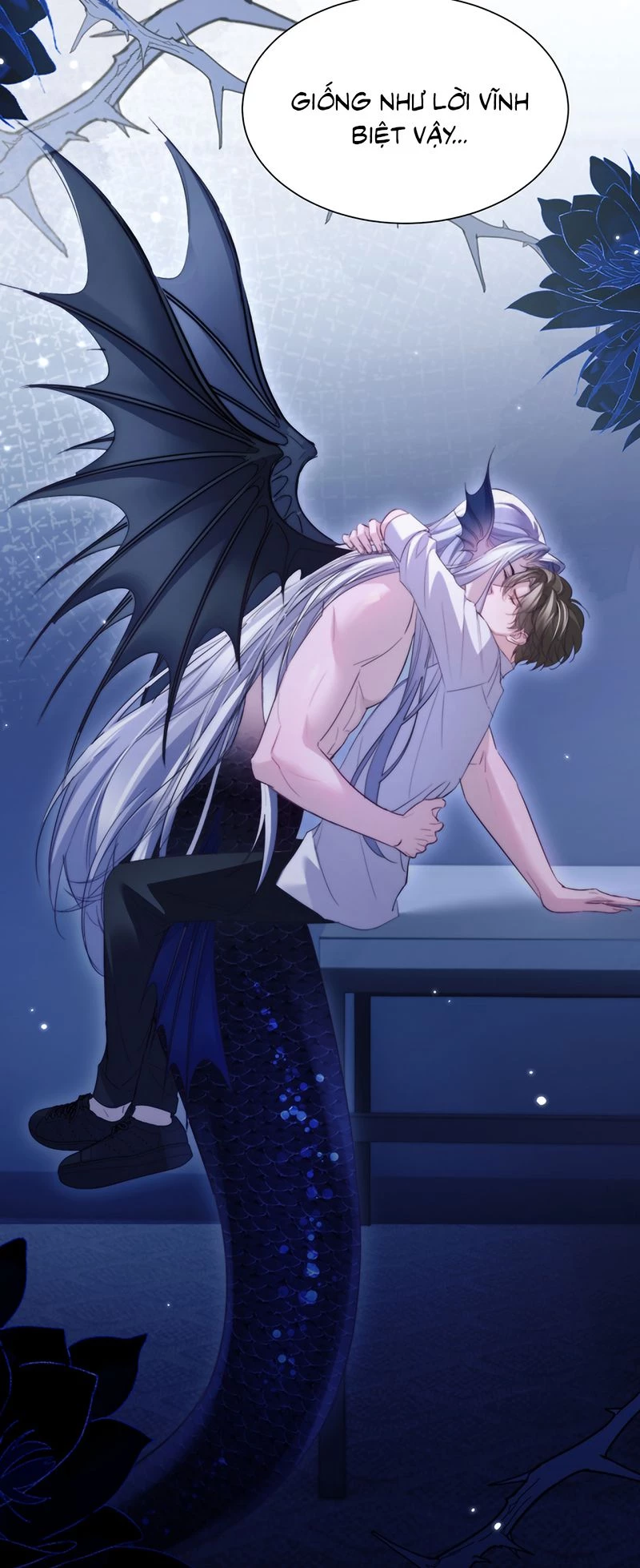 Desharow Nhân Ngư Chapter 116 - 16