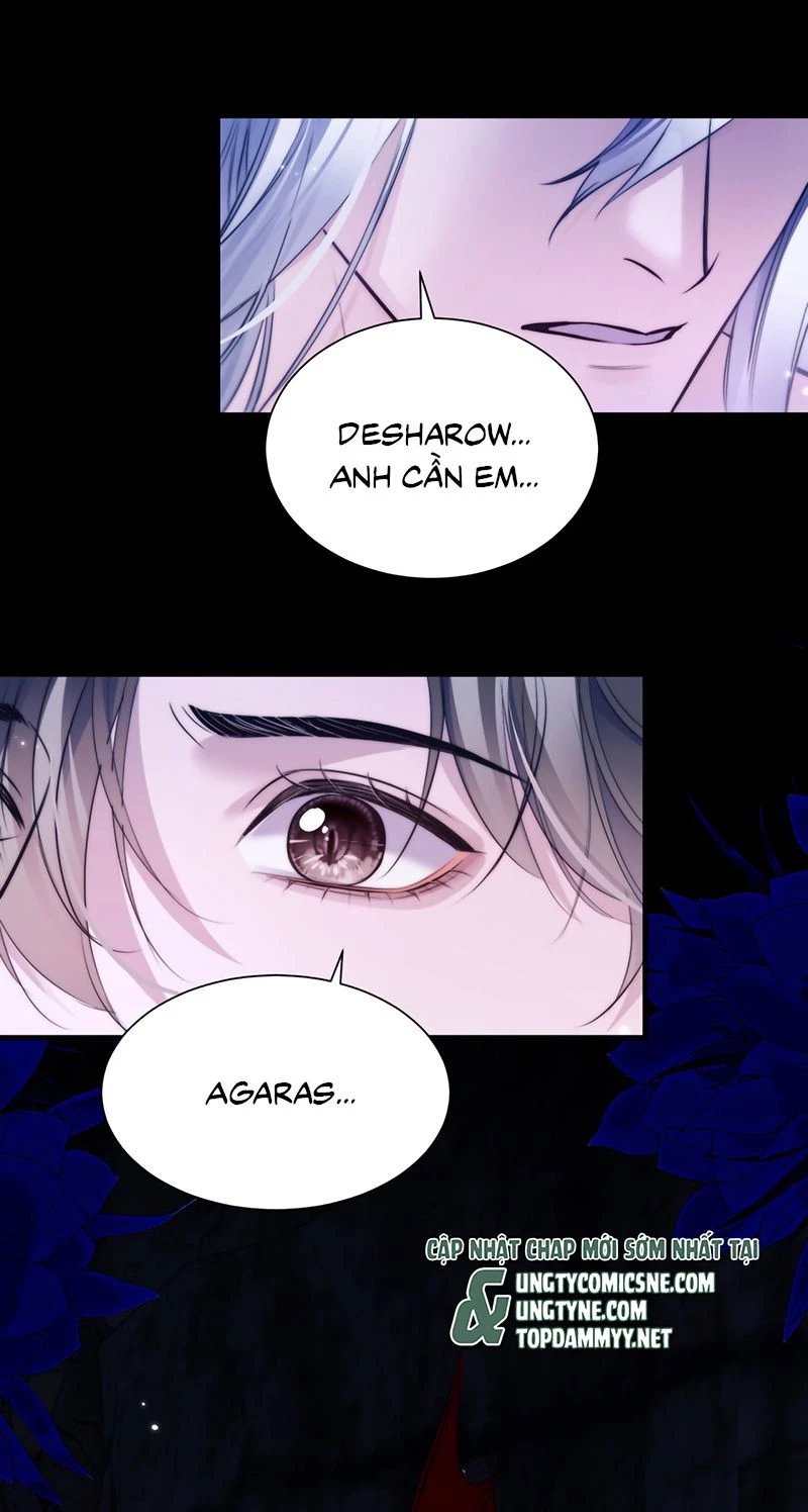 Desharow Nhân Ngư Chapter 120 - 4