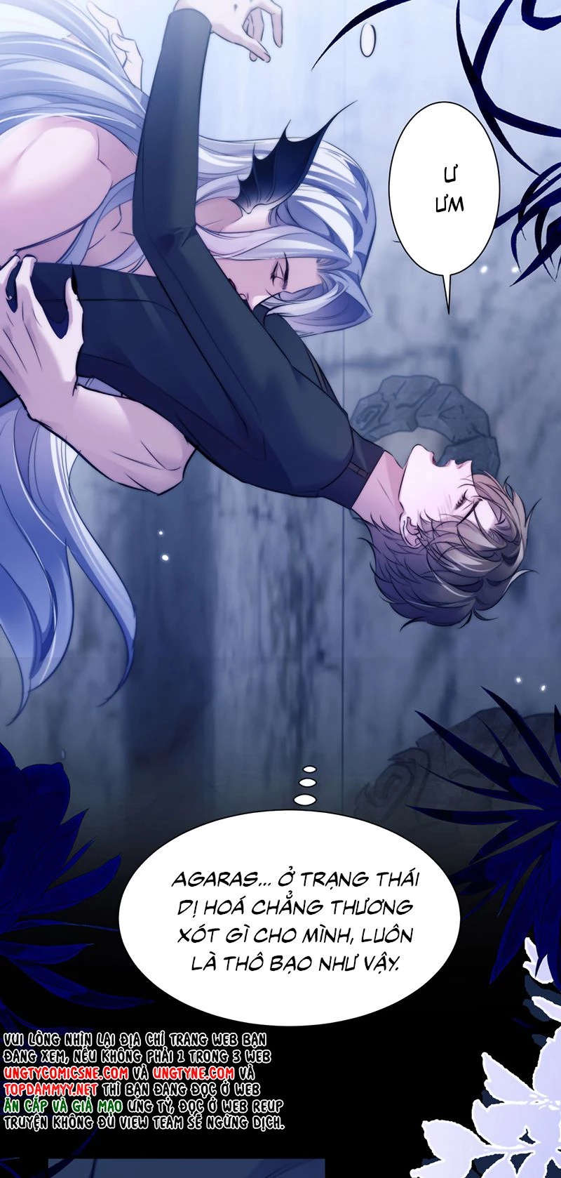 Desharow Nhân Ngư Chapter 120 - 6