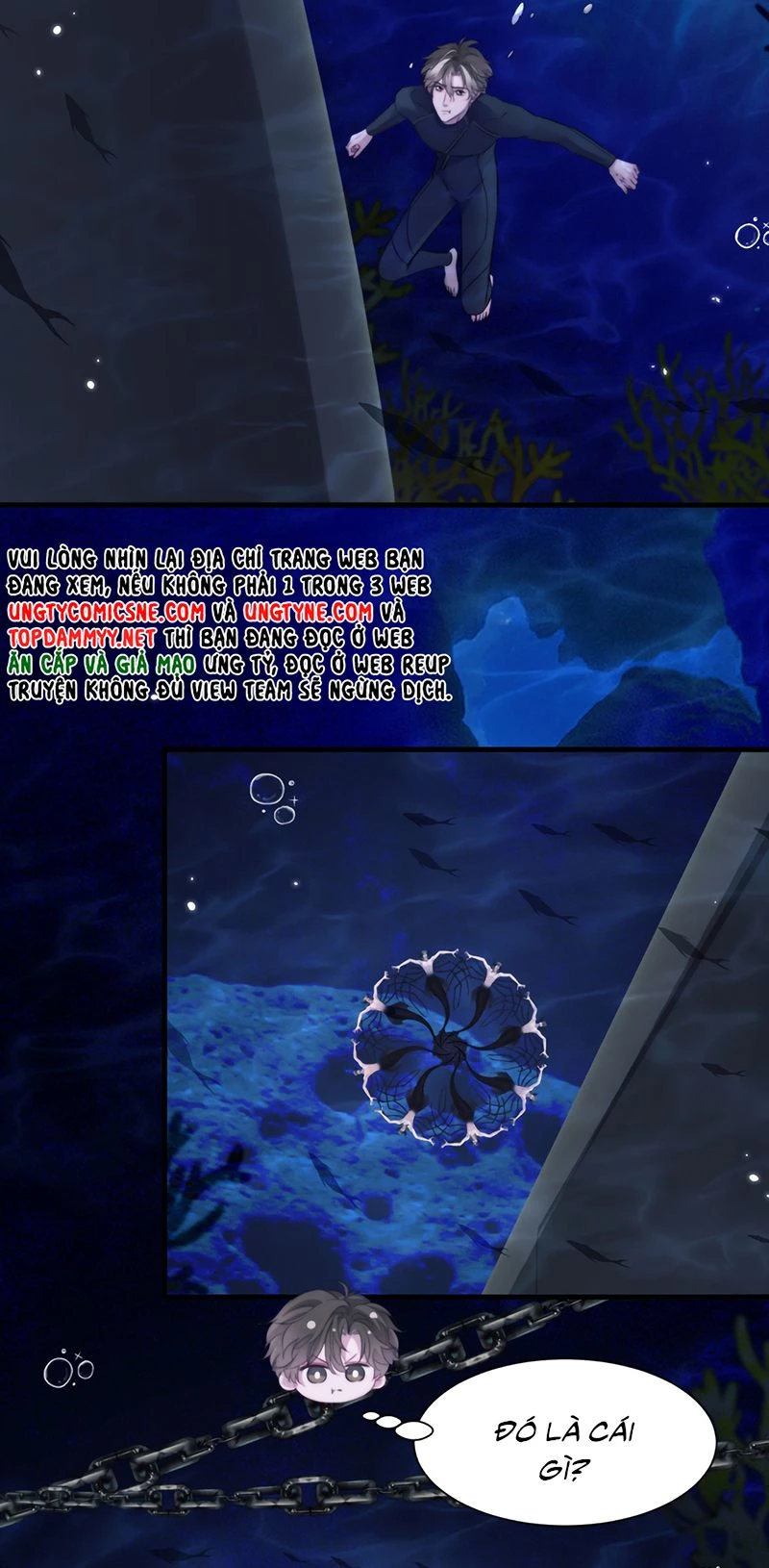 Desharow Nhân Ngư Chapter 120 - 15