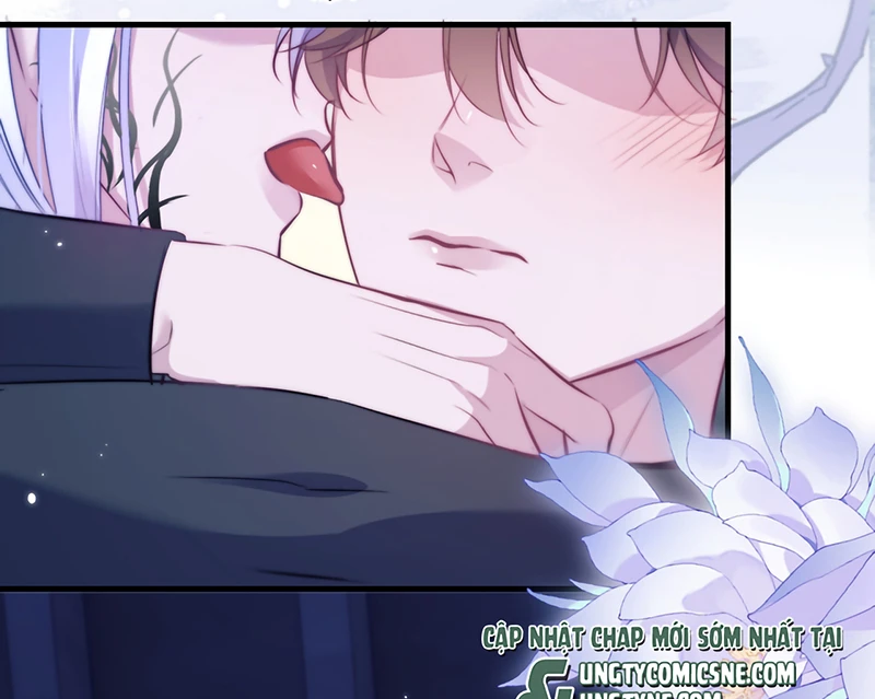 Desharow Nhân Ngư Chapter 121 - 14