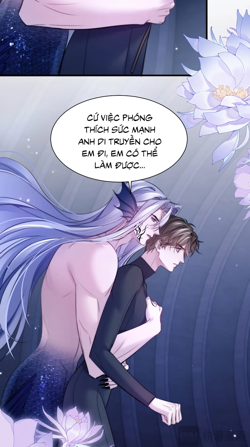 Desharow Nhân Ngư Chapter 122 - 20