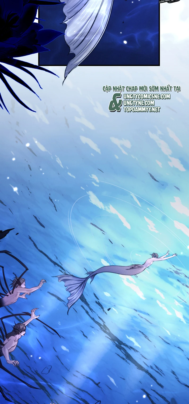 Desharow Nhân Ngư Chapter 122 - 27