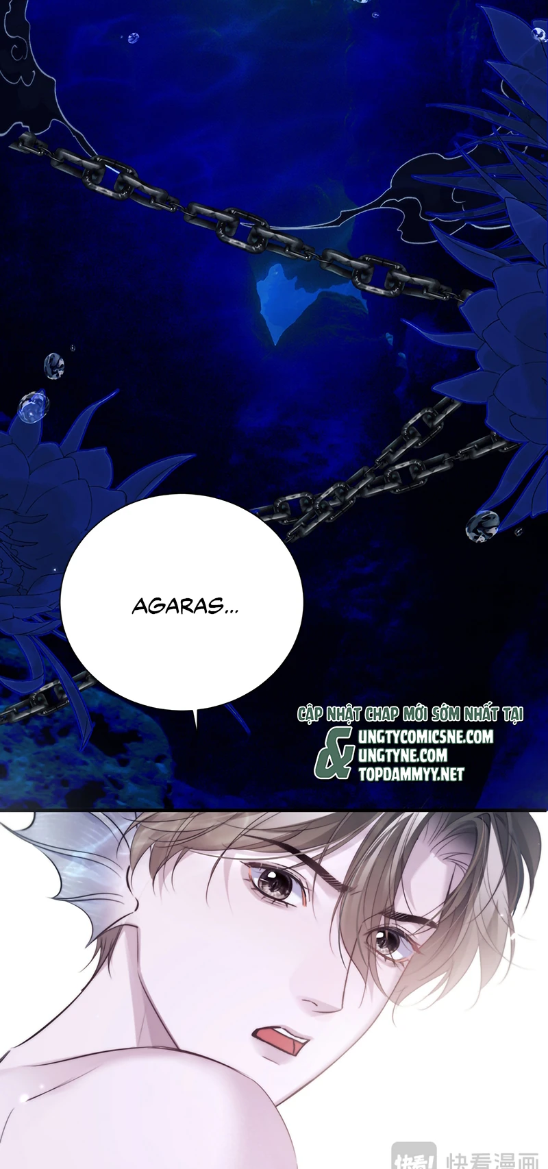 Desharow Nhân Ngư Chapter 122 - 31