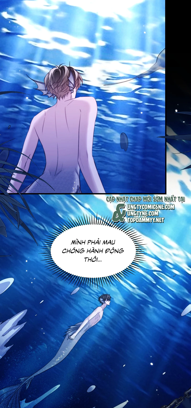 Desharow Nhân Ngư Chapter 122 - 35