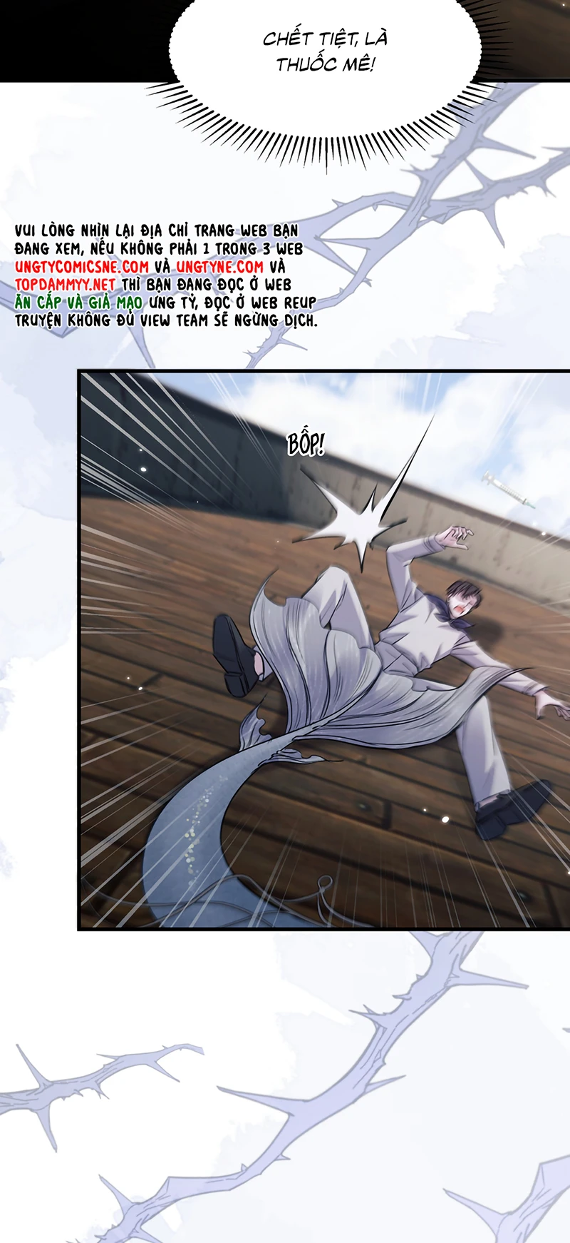 Desharow Nhân Ngư Chapter 123 - 10