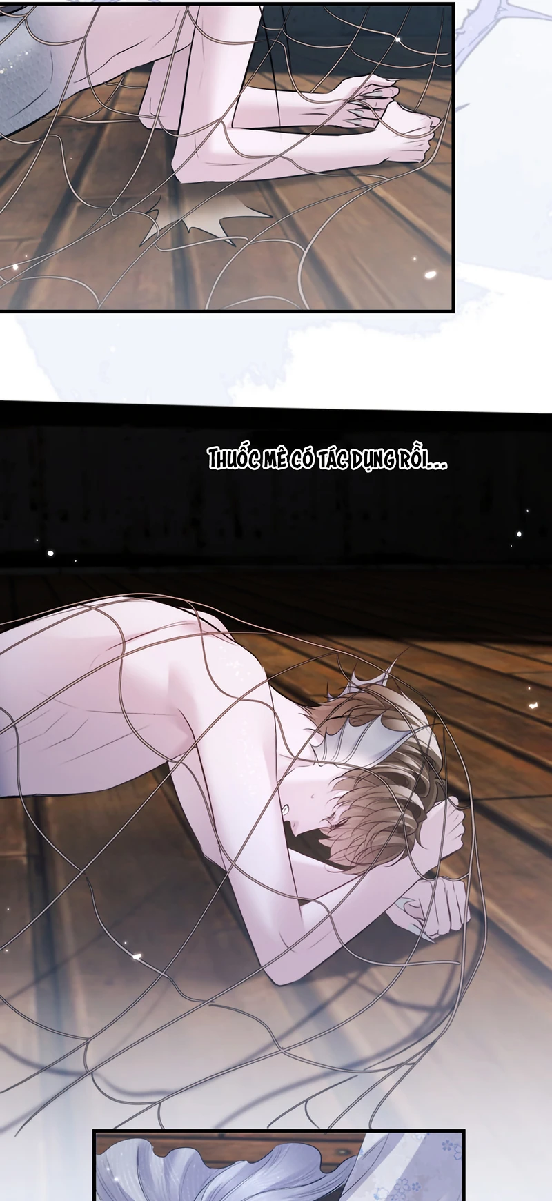 Desharow Nhân Ngư Chapter 123 - 11