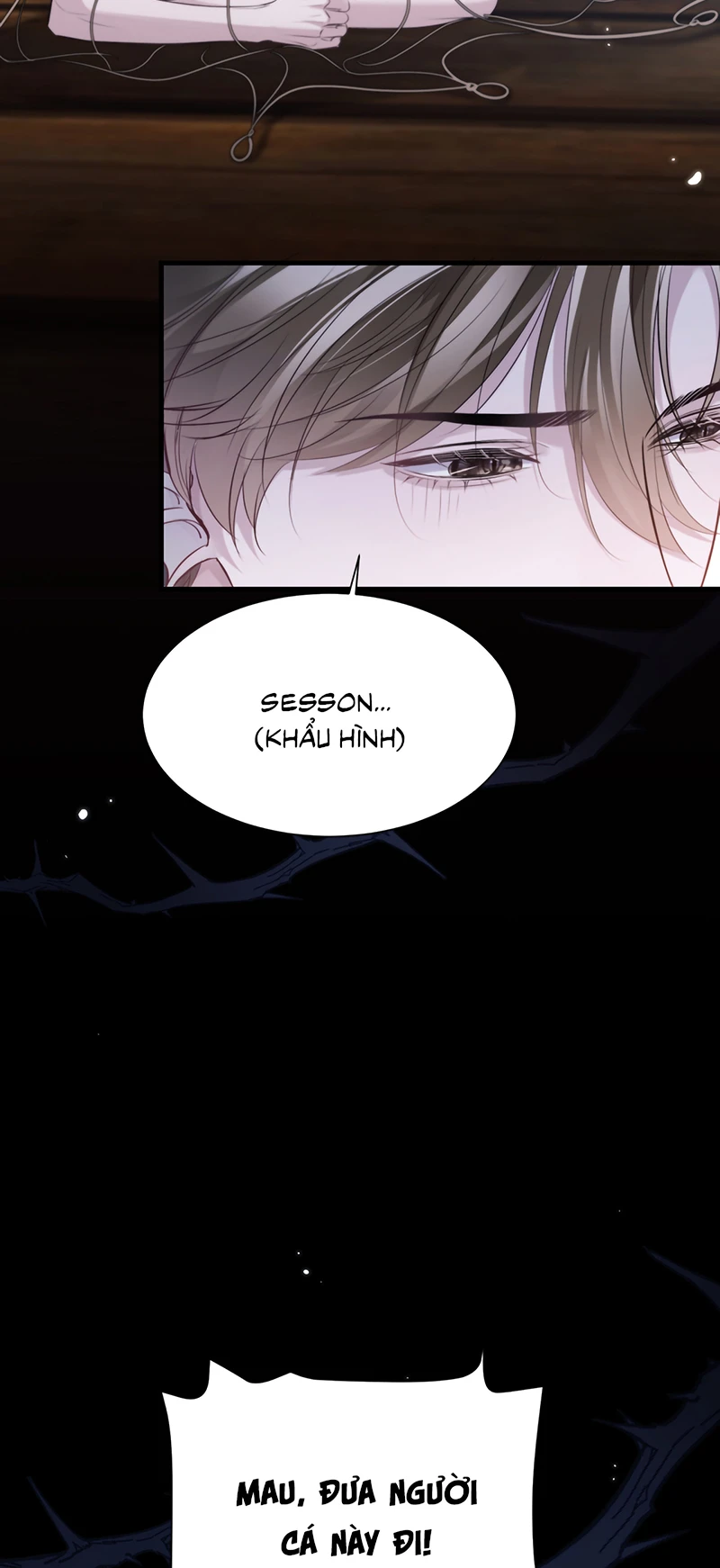 Desharow Nhân Ngư Chapter 123 - 13