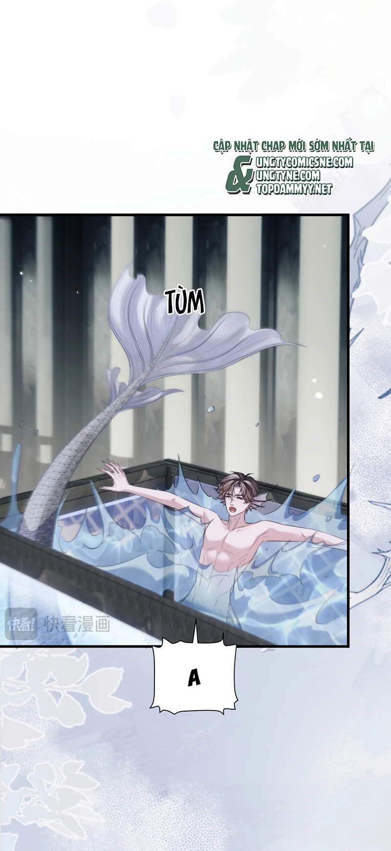 Desharow Nhân Ngư Chapter 123 - 16