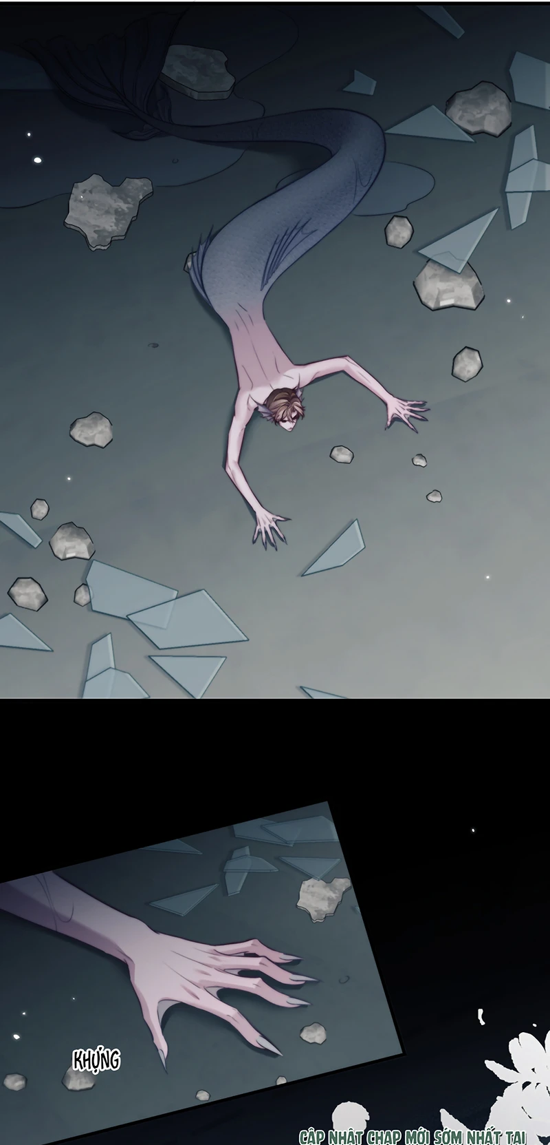 Desharow Nhân Ngư Chapter 123 - 28