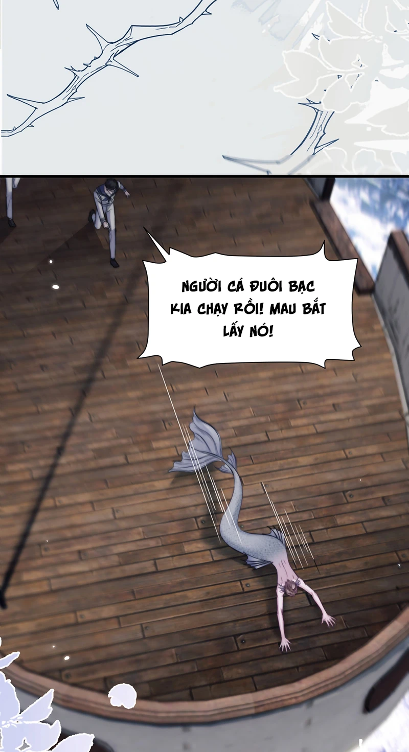 Desharow Nhân Ngư Chapter 123 - 32