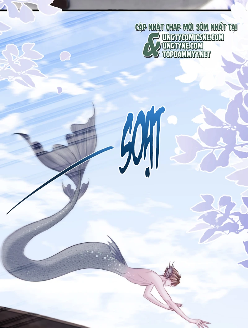 Desharow Nhân Ngư Chapter 123 - 33