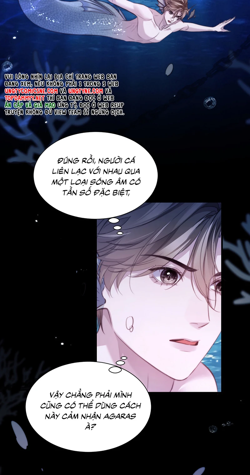 Desharow Nhân Ngư Chapter 124 - 4