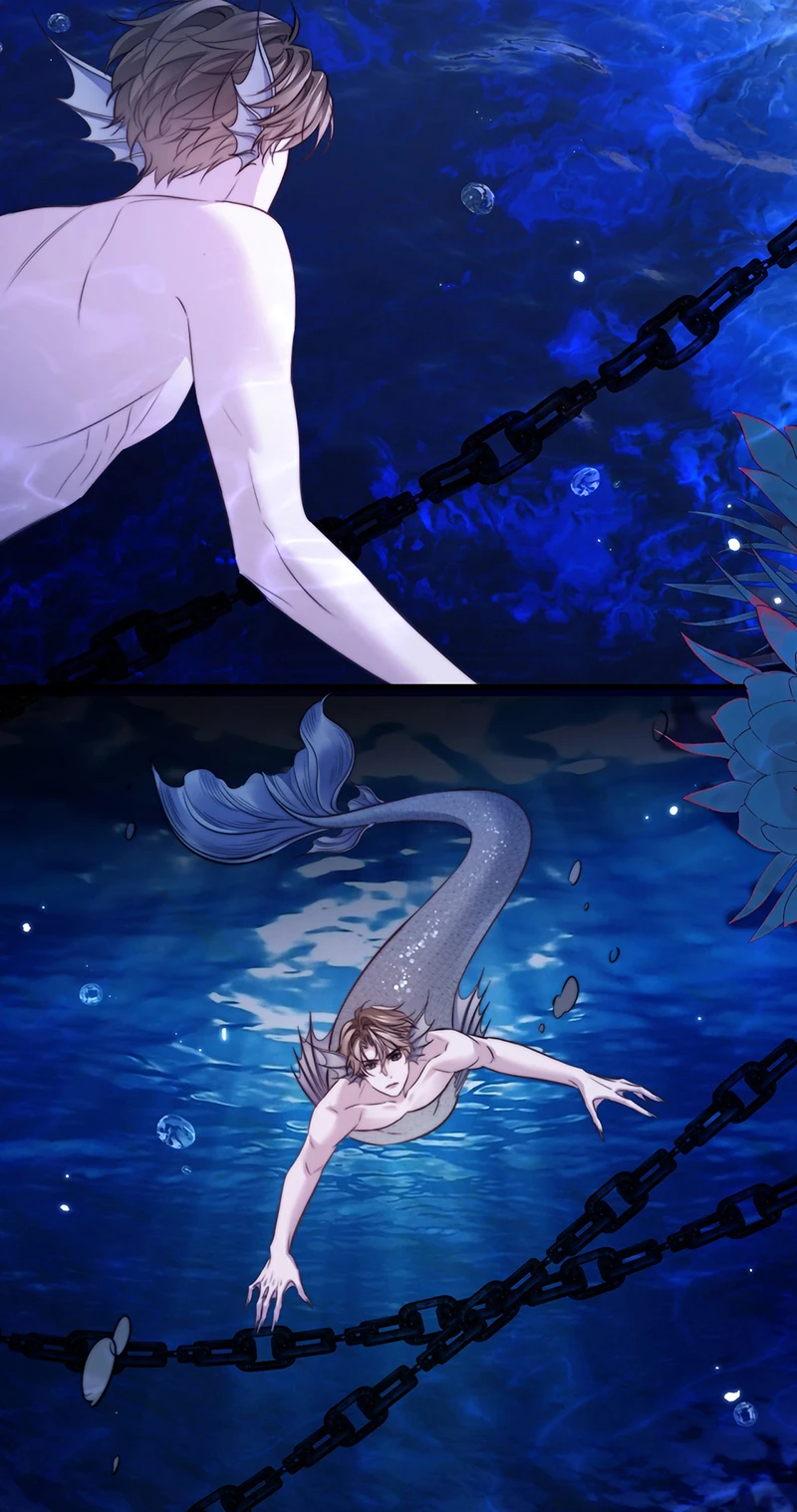 Desharow Nhân Ngư Chapter 124 - 7