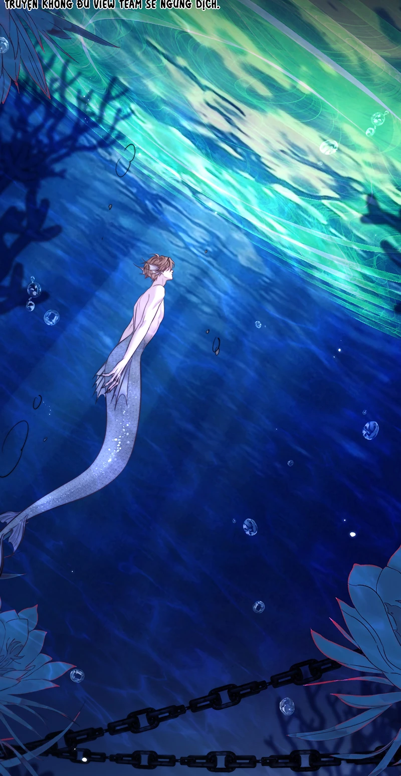 Desharow Nhân Ngư Chapter 124 - 9