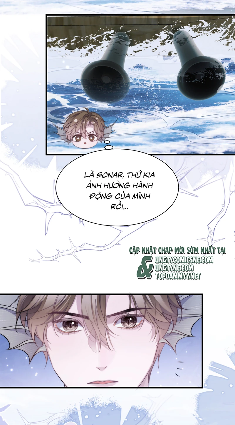 Desharow Nhân Ngư Chapter 124 - 11