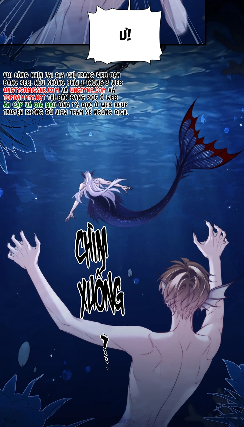 Desharow Nhân Ngư Chapter 125 - 6