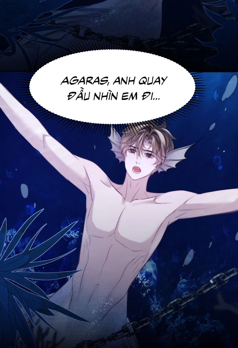 Desharow Nhân Ngư Chapter 125 - 7