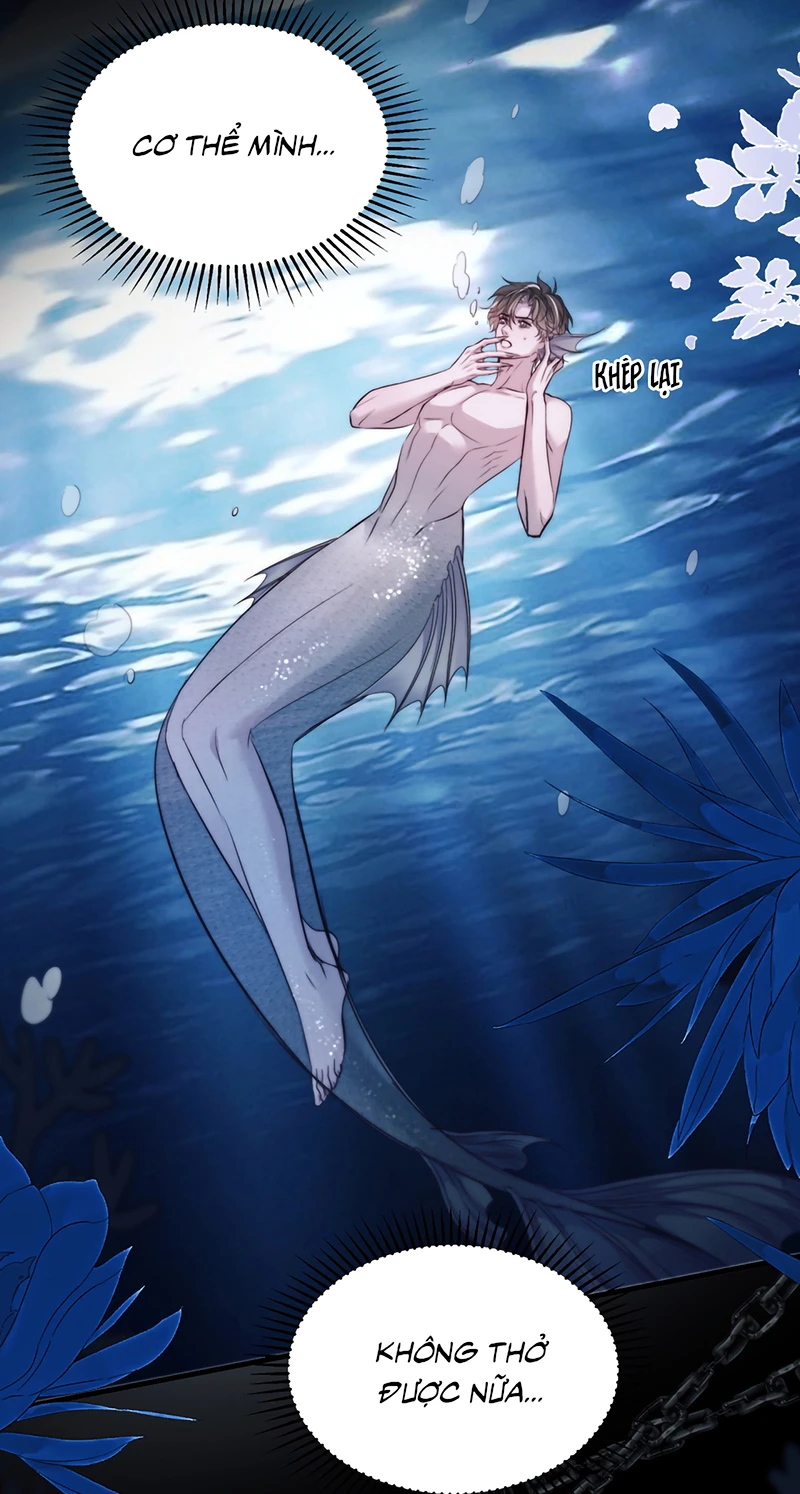 Desharow Nhân Ngư Chapter 125 - 10