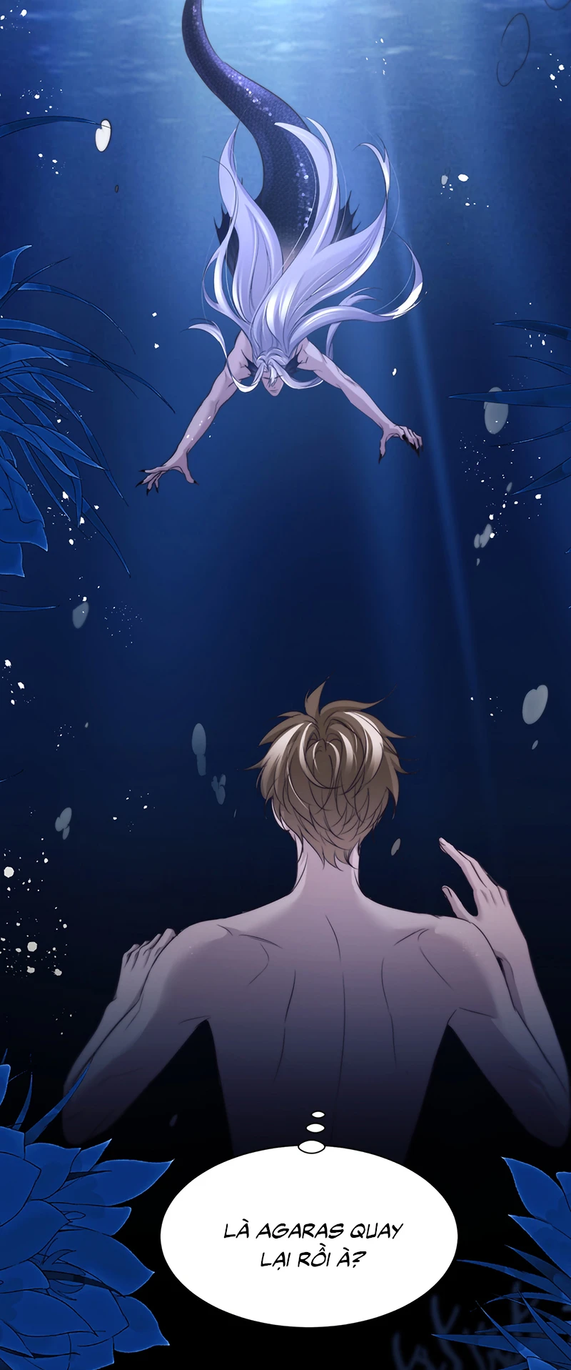 Desharow Nhân Ngư Chapter 125 - 12