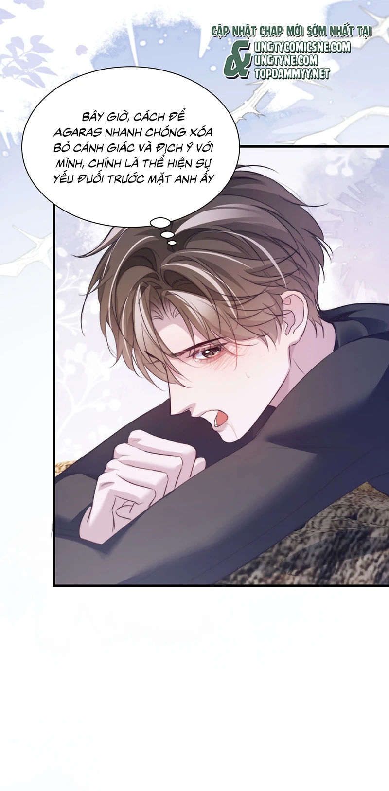 Desharow Nhân Ngư Chapter 125 - 16