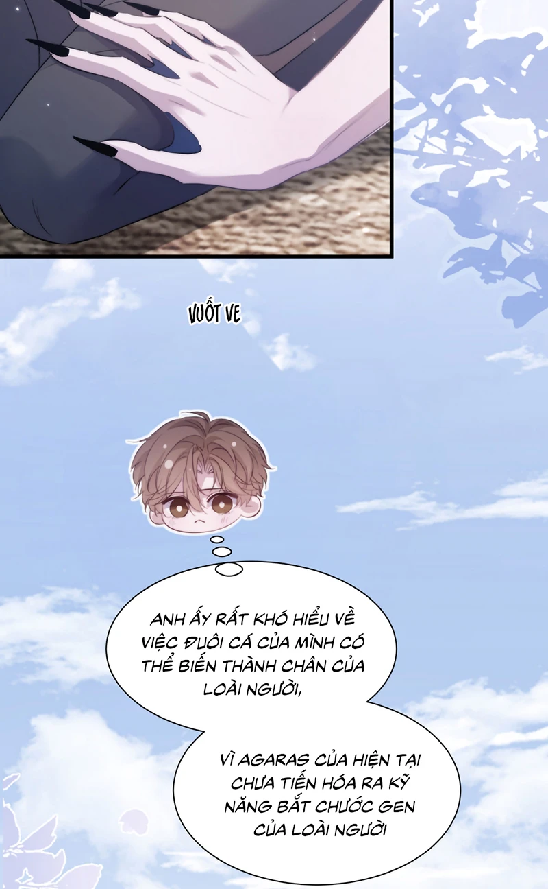 Desharow Nhân Ngư Chapter 125 - 22