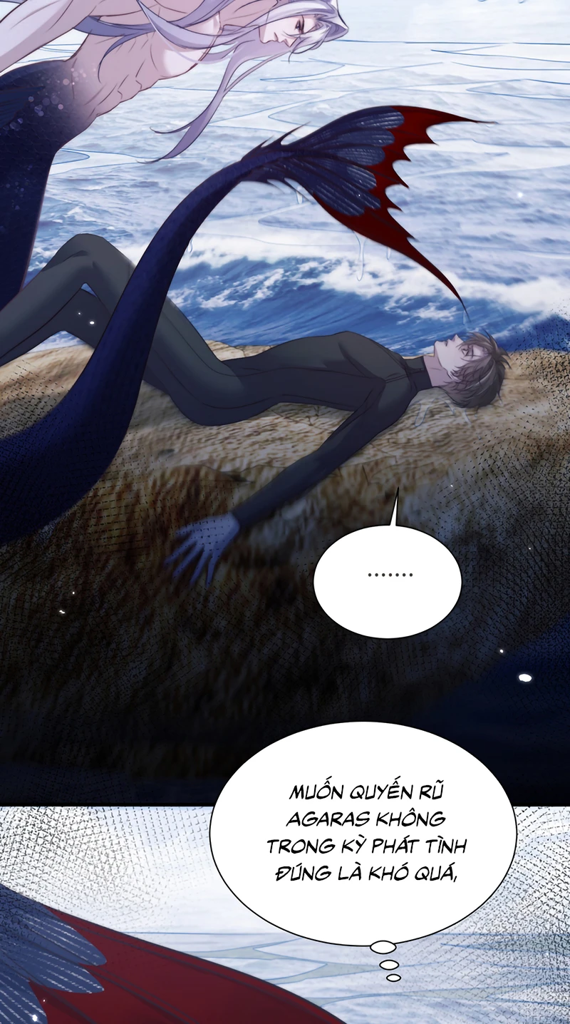 Desharow Nhân Ngư Chapter 126 - 22