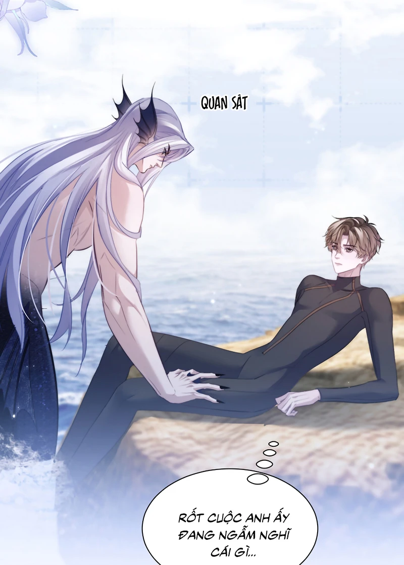 Desharow Nhân Ngư Chapter 126 - 26