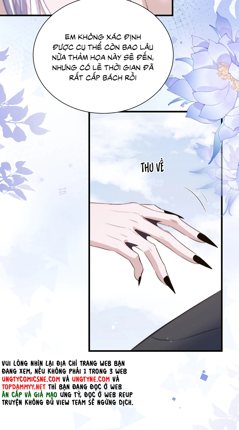 Desharow Nhân Ngư Chapter 126 - 31