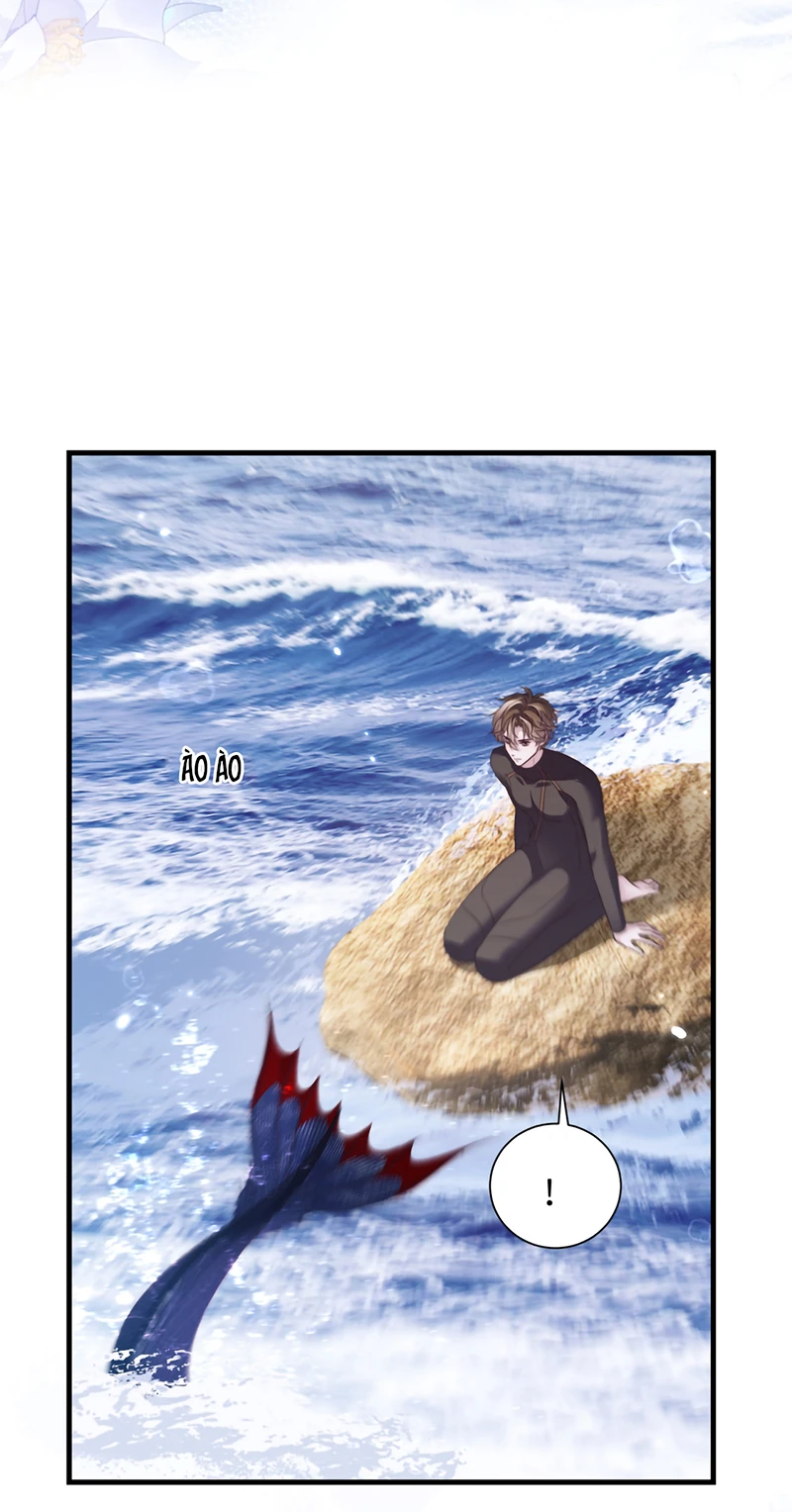 Desharow Nhân Ngư Chapter 127 - 4