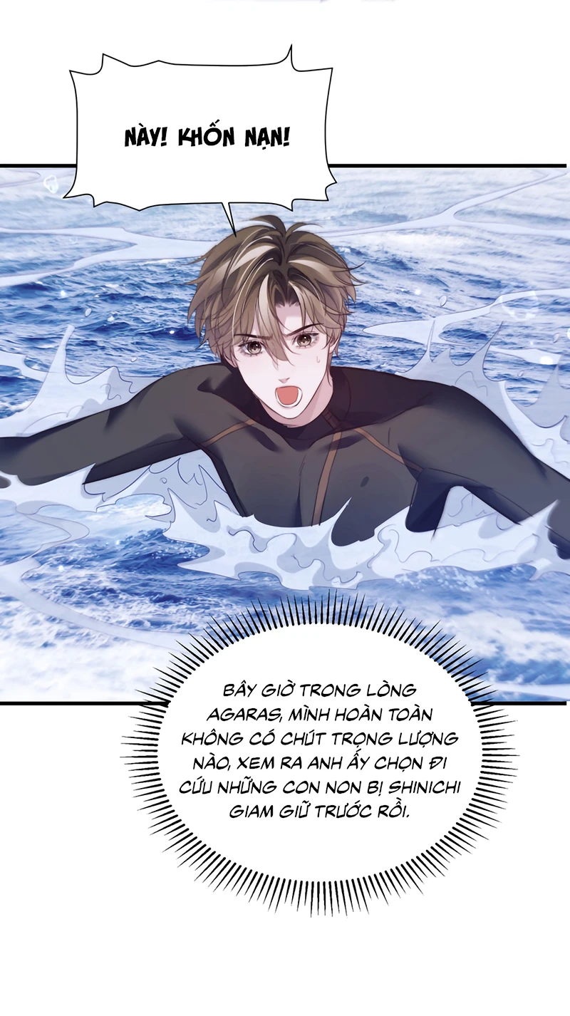 Desharow Nhân Ngư Chapter 127 - 6