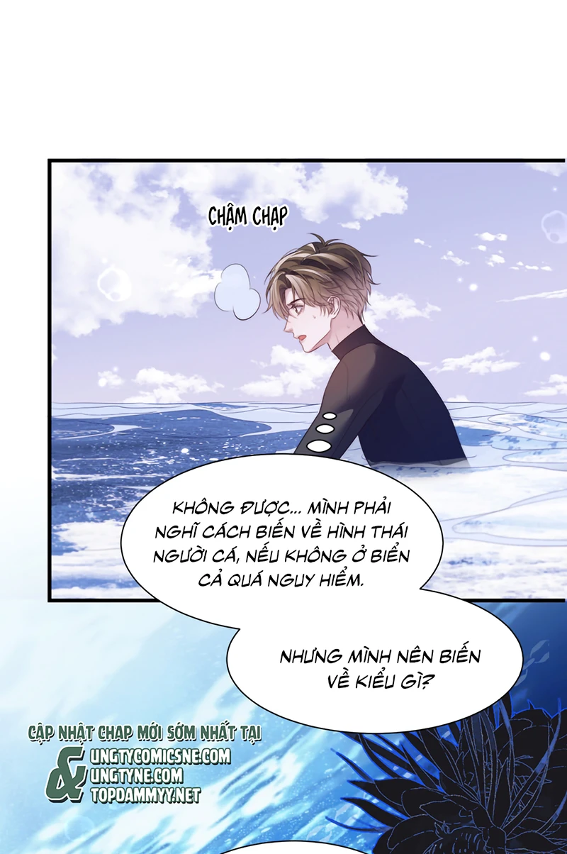 Desharow Nhân Ngư Chapter 127 - 7