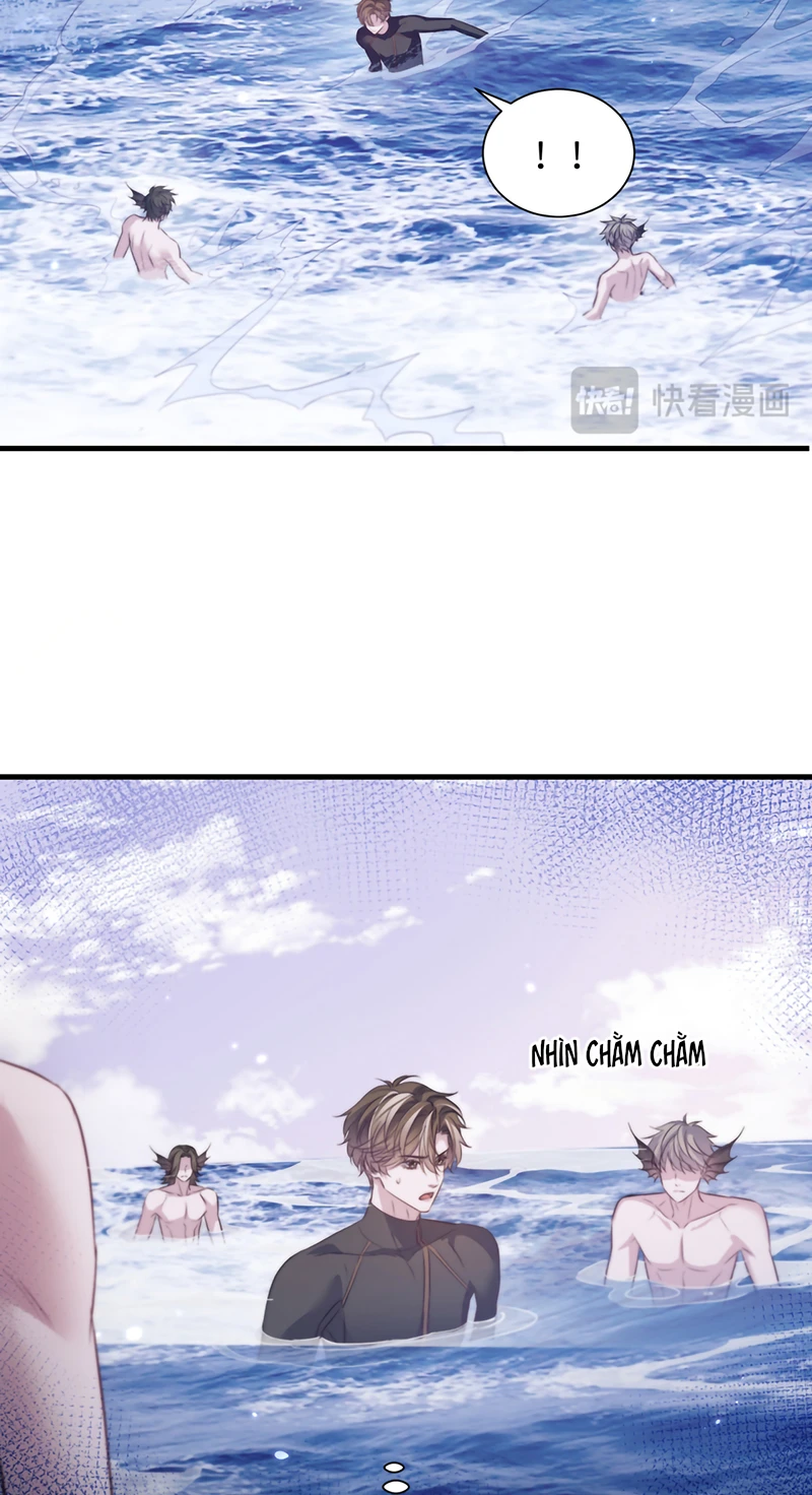 Desharow Nhân Ngư Chapter 127 - 11