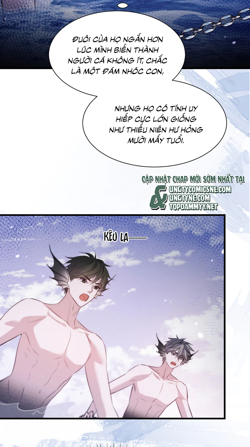 Desharow Nhân Ngư Chapter 127 - 12