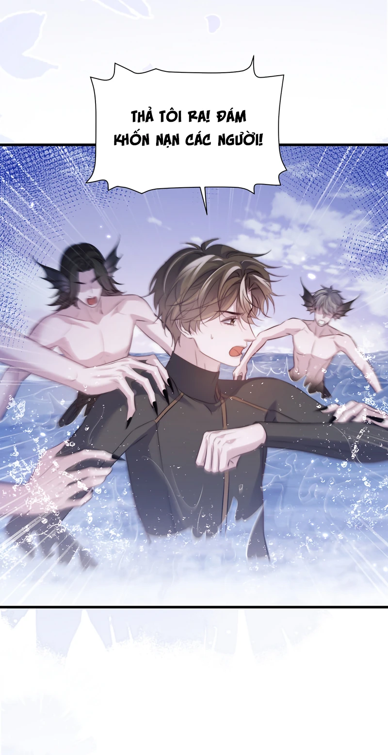 Desharow Nhân Ngư Chapter 127 - 17