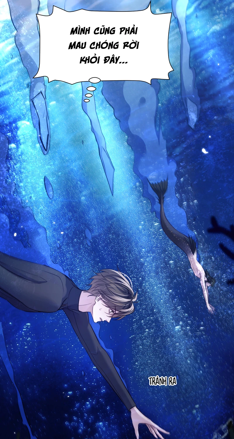 Desharow Nhân Ngư Chapter 127 - 20