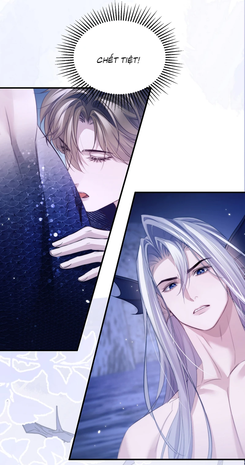 Desharow Nhân Ngư Chapter 128 - 5