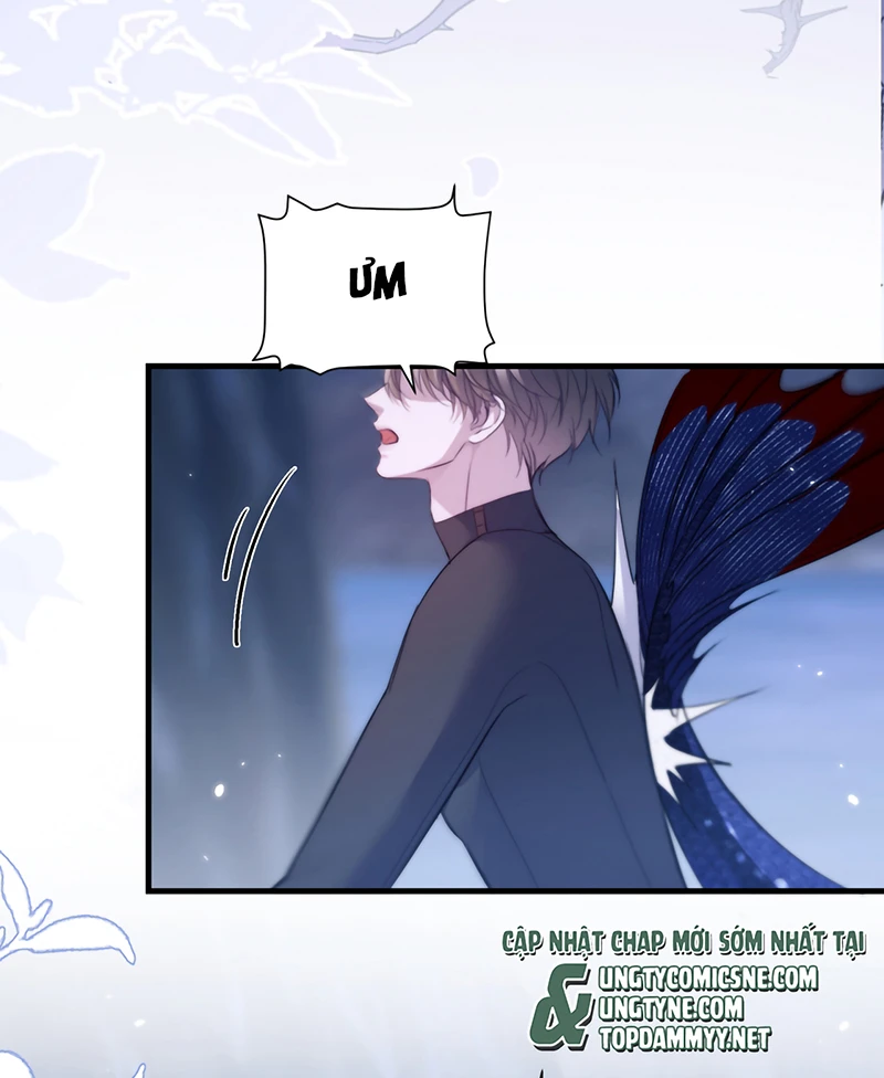 Desharow Nhân Ngư Chapter 128 - 6