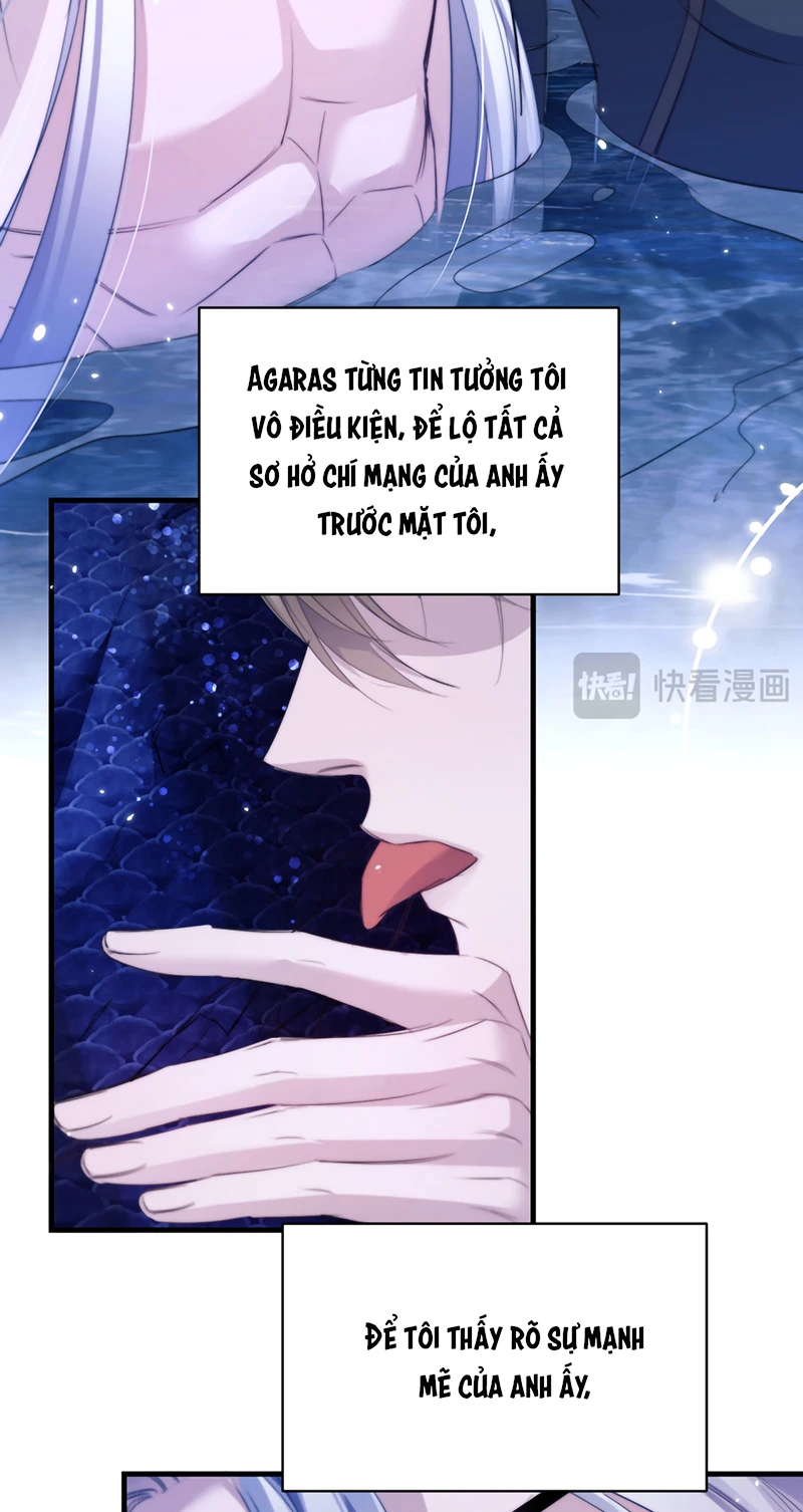 Desharow Nhân Ngư Chapter 128 - 8