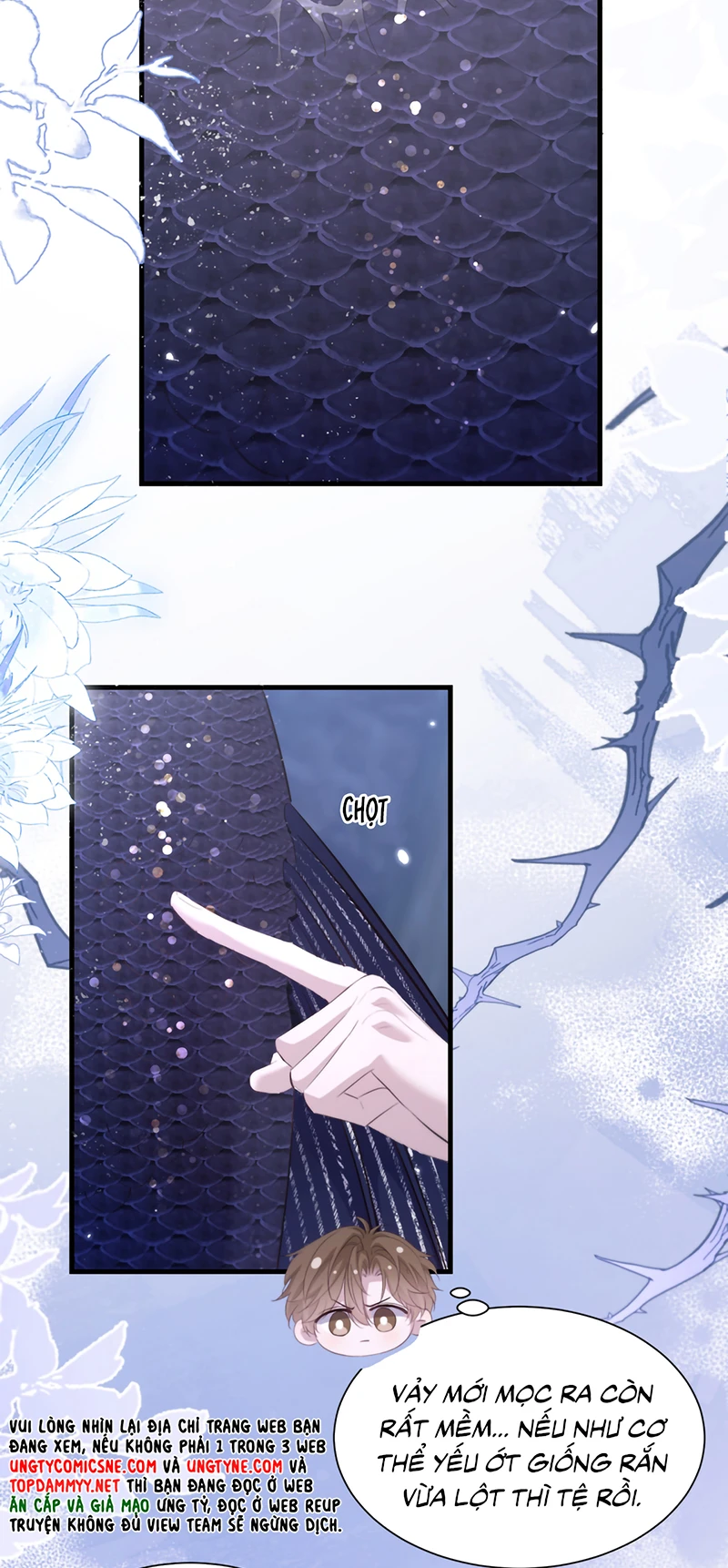 Desharow Nhân Ngư Chapter 128 - 12