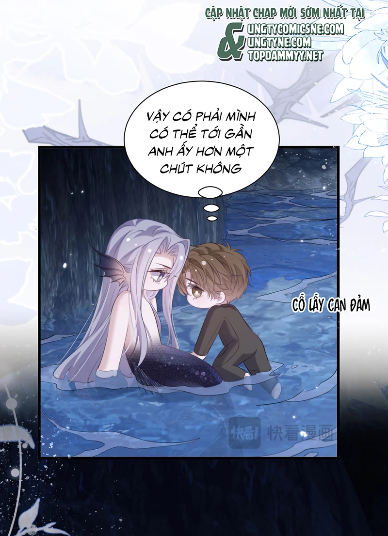 Desharow Nhân Ngư Chapter 128 - 15